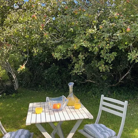 度假居 The Nook By Trident Homes 奥兰莫尔